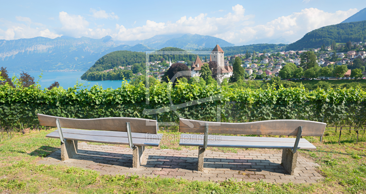 Bild-Nr.: 12742693 Aussichtsbänke am Rebberg Spiez erstellt von SusaZoom