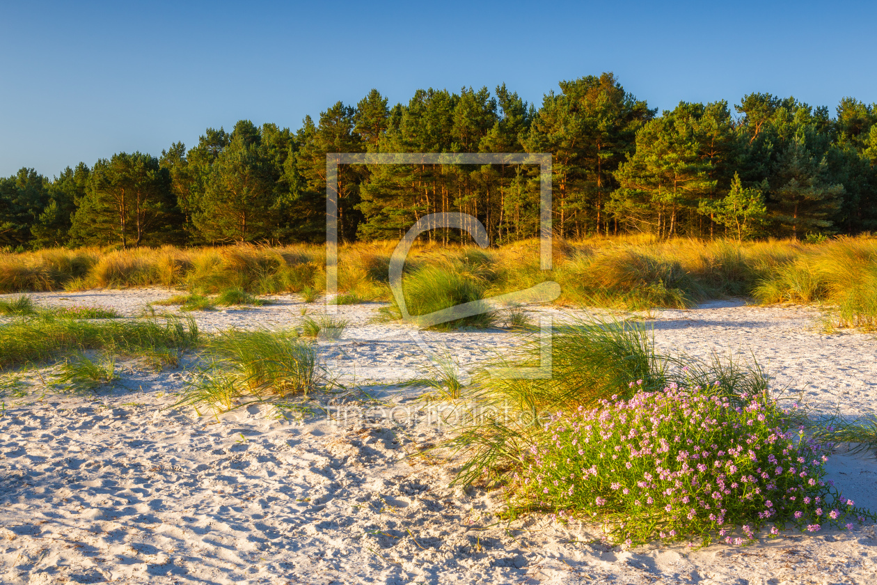 Bild-Nr.: 12744092 Septembermorgen am Nordstrand erstellt von Daniela Beyer