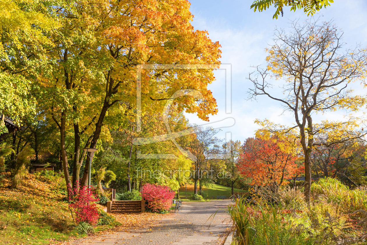 Bild-Nr.: 12744188 Herbst im Münchner Westpark erstellt von SusaZoom