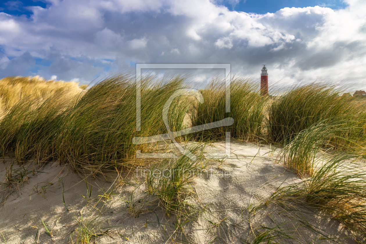 Bild-Nr.: 12744193 Leuchtturm und Dünen auf Texel erstellt von Daniela Beyer