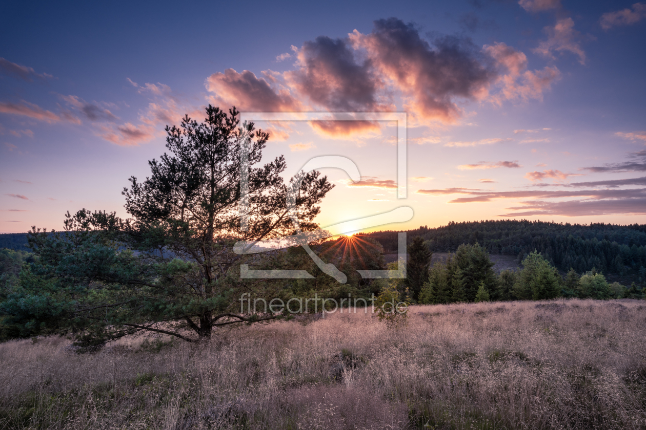 Bild-Nr.: 12744411 Sommer im Harz  erstellt von Steffen Henze