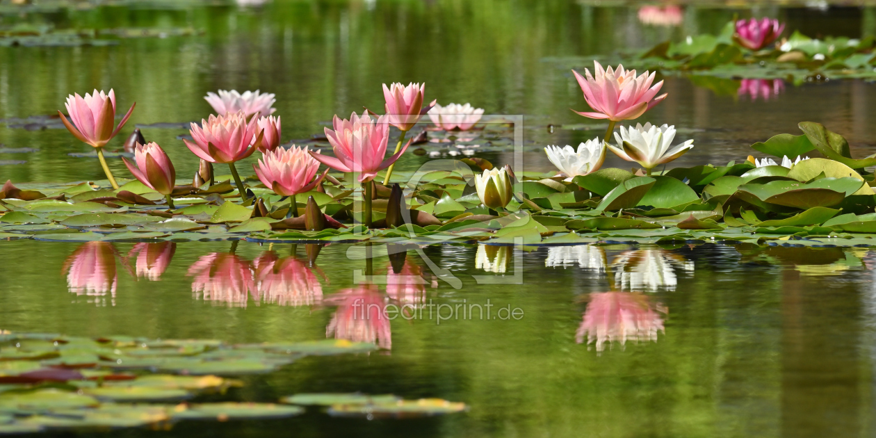 Bild-Nr.: 12744753 Kunstwerk der Natur erstellt von johafoto