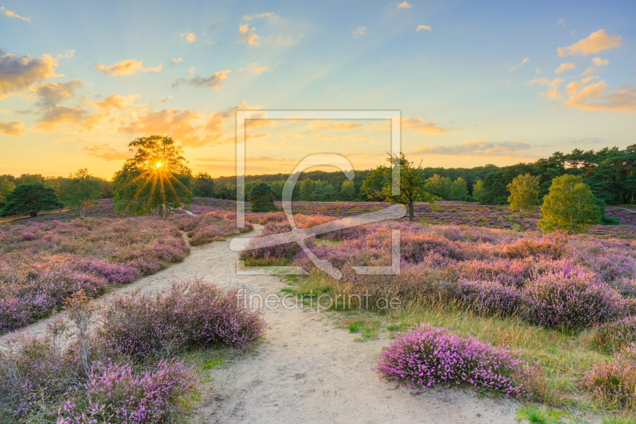 Bild-Nr.: 12744887 Sonnenuntergang in der Heide erstellt von Michael Valjak