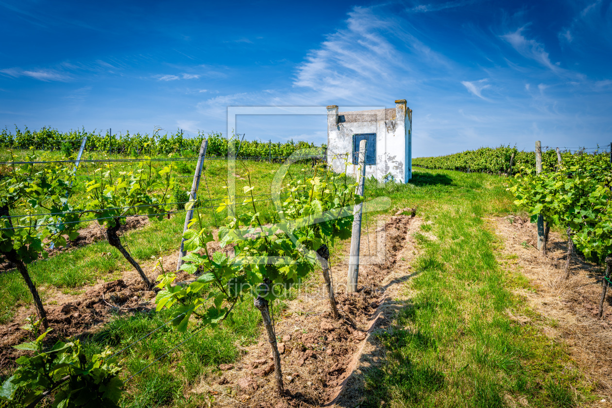Bild-Nr.: 12745001 Trullo am alten Flurweg 67 erstellt von Erhard Hess