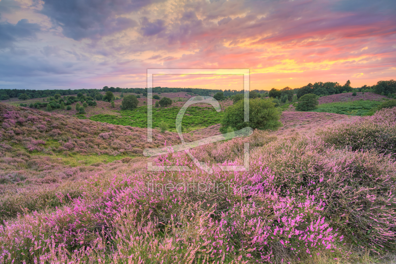 Bild-Nr.: 12746244 Heidelandschaft bei Sonnenuntergang erstellt von Michael Valjak