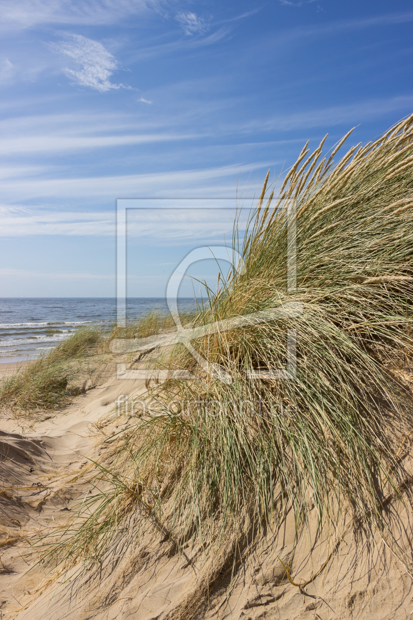 Bild-Nr.: 12746401 Strandhafer erstellt von yammay