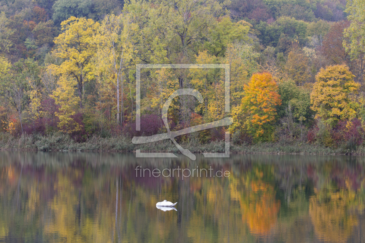 Bild-Nr.: 12746899 Herbst an der Donau erstellt von Walter G. Allgöwer