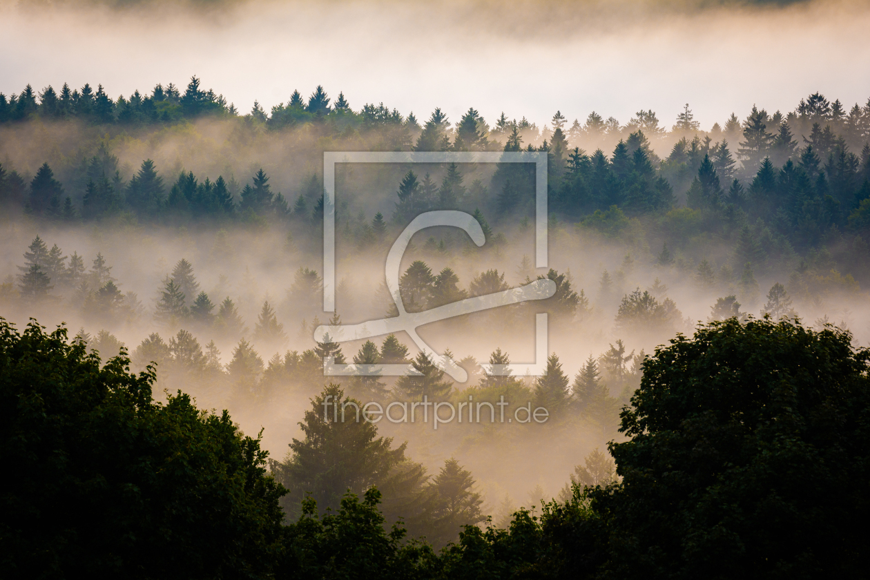 Bild-Nr.: 12747200 Wald im Nebel erstellt von Martin Martin Wasilewski