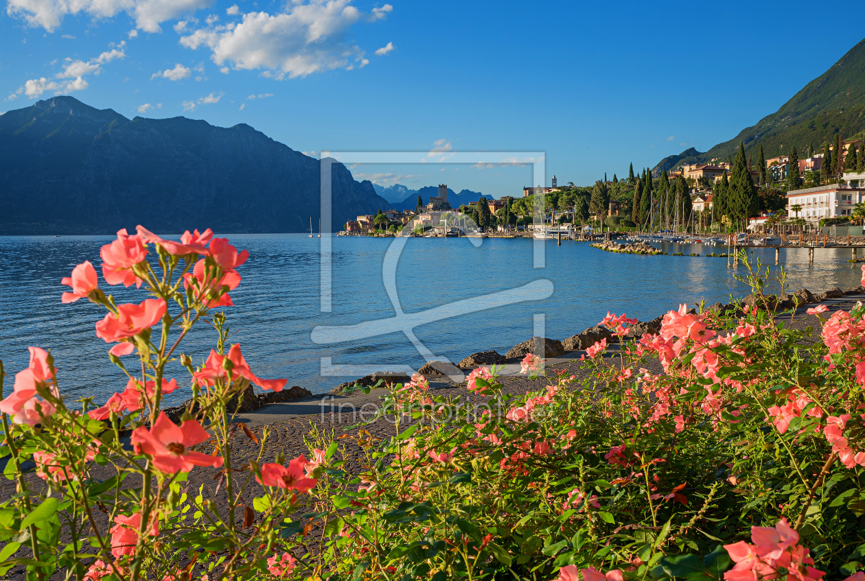 Bild-Nr.: 12747424 Seeufer Promenade Malcesine am Gardasee erstellt von SusaZoom