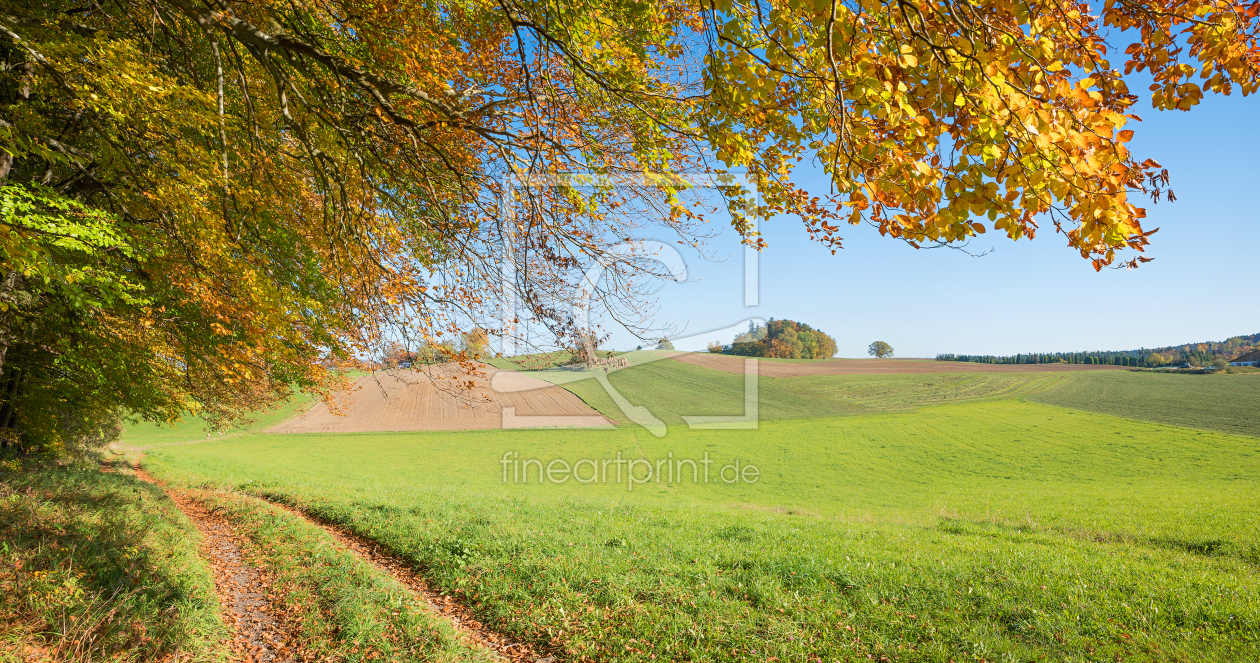 Bild-Nr.: 12747733 Herbstlicher Waldrand erstellt von SusaZoom