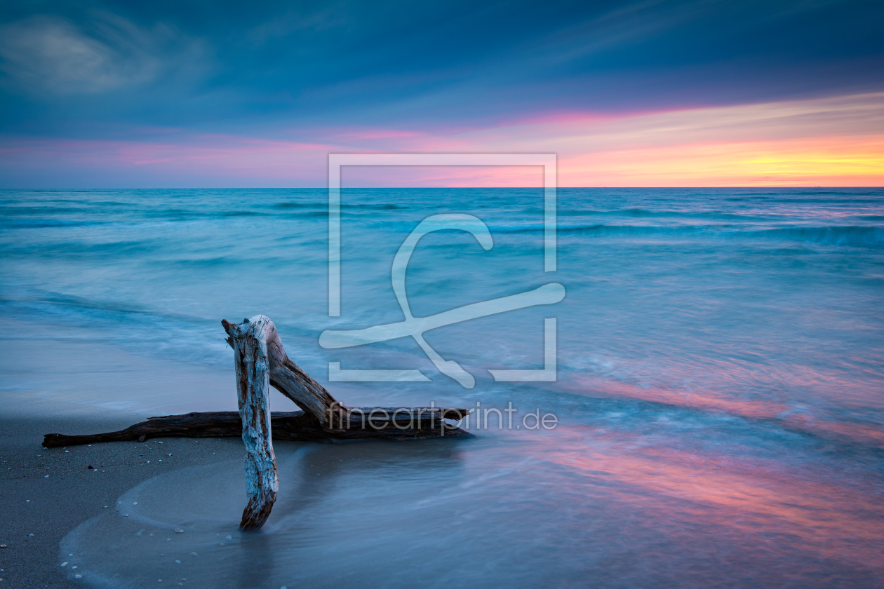Bild-Nr.: 12747759 Strandgut im Sonnenuntergang erstellt von Martin Wasilewski