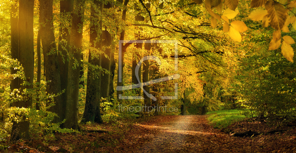 Bild-Nr.: 12749617 Schöne natürliche Allee im Herbst erstellt von Smileus