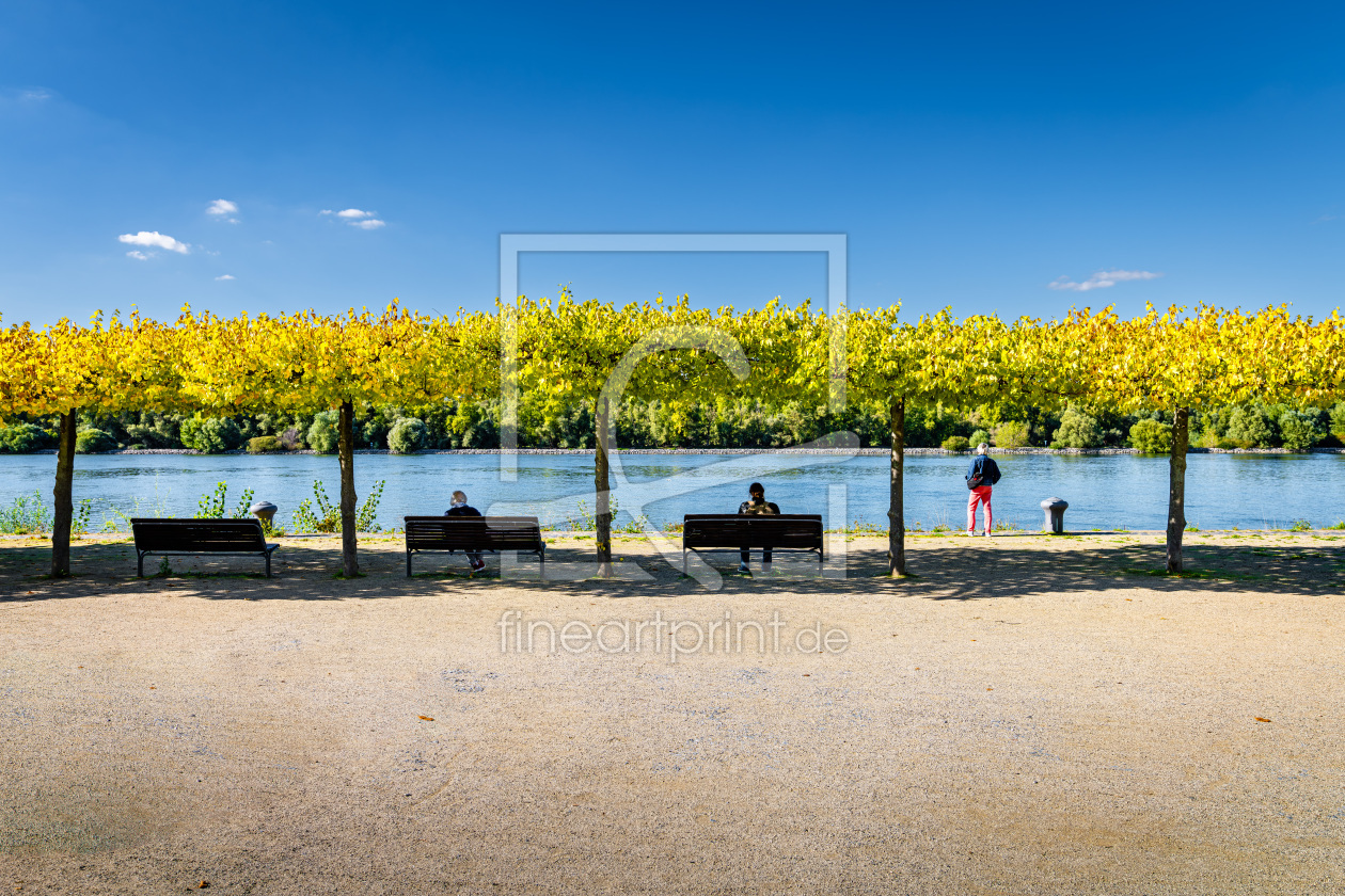 Bild-Nr.: 12750035 Am Rheinufer 42 erstellt von Erhard Hess