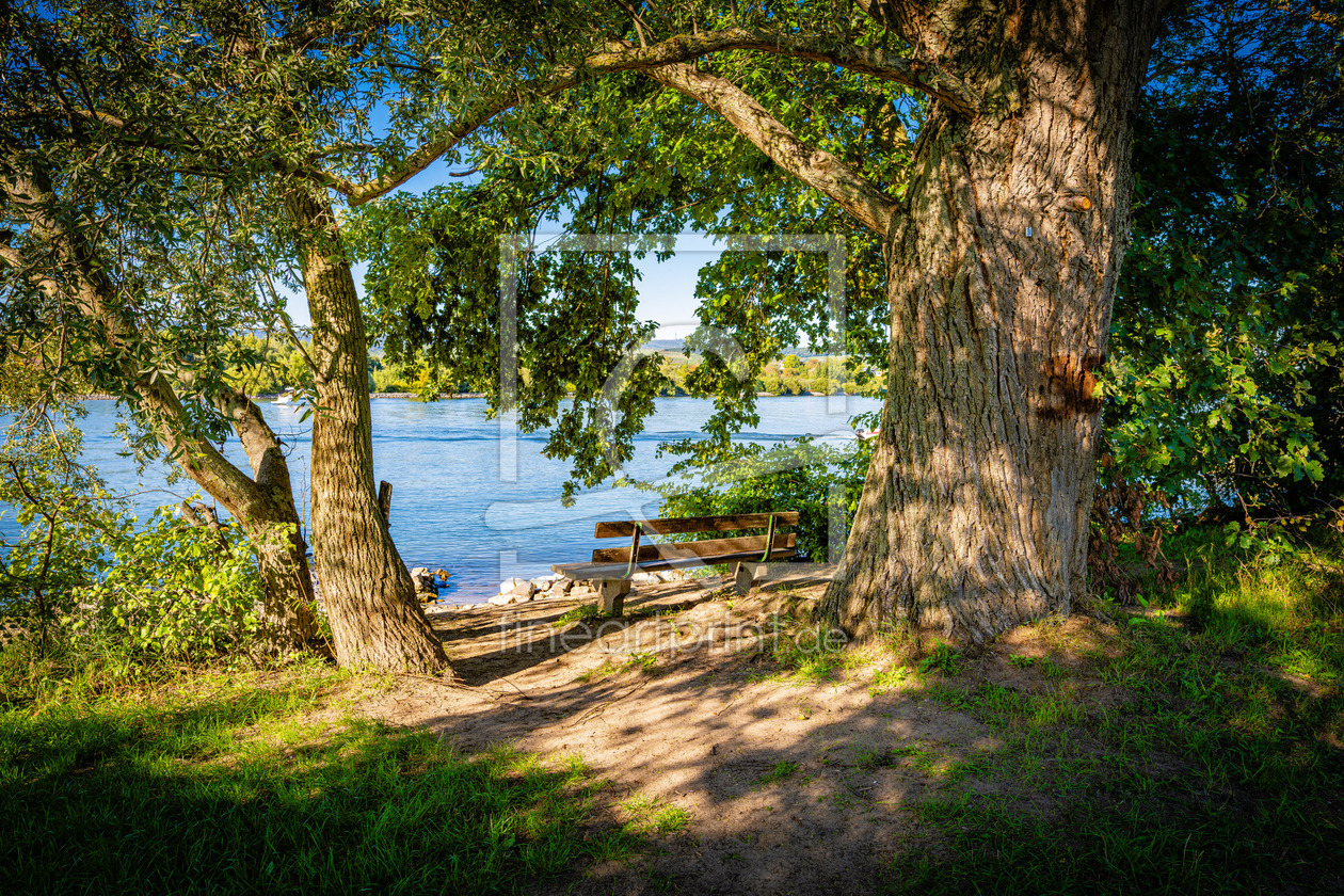 Bild-Nr.: 12750036 Am Rhein 47 erstellt von Erhard Hess