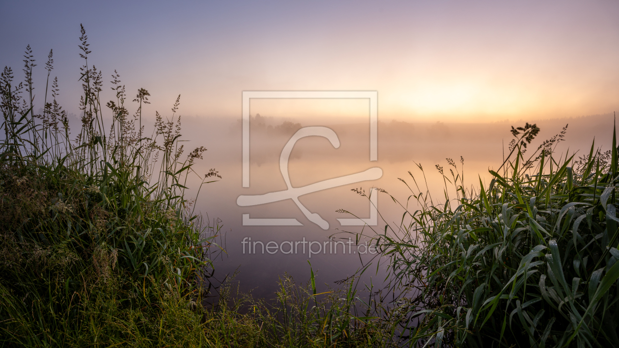 Bild-Nr.: 12750179 Good morning in the Harz  erstellt von Steffen Henze