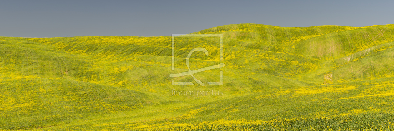 Bild-Nr.: 12751388 Val d\'Orcia erstellt von Walter G. Allgöwer