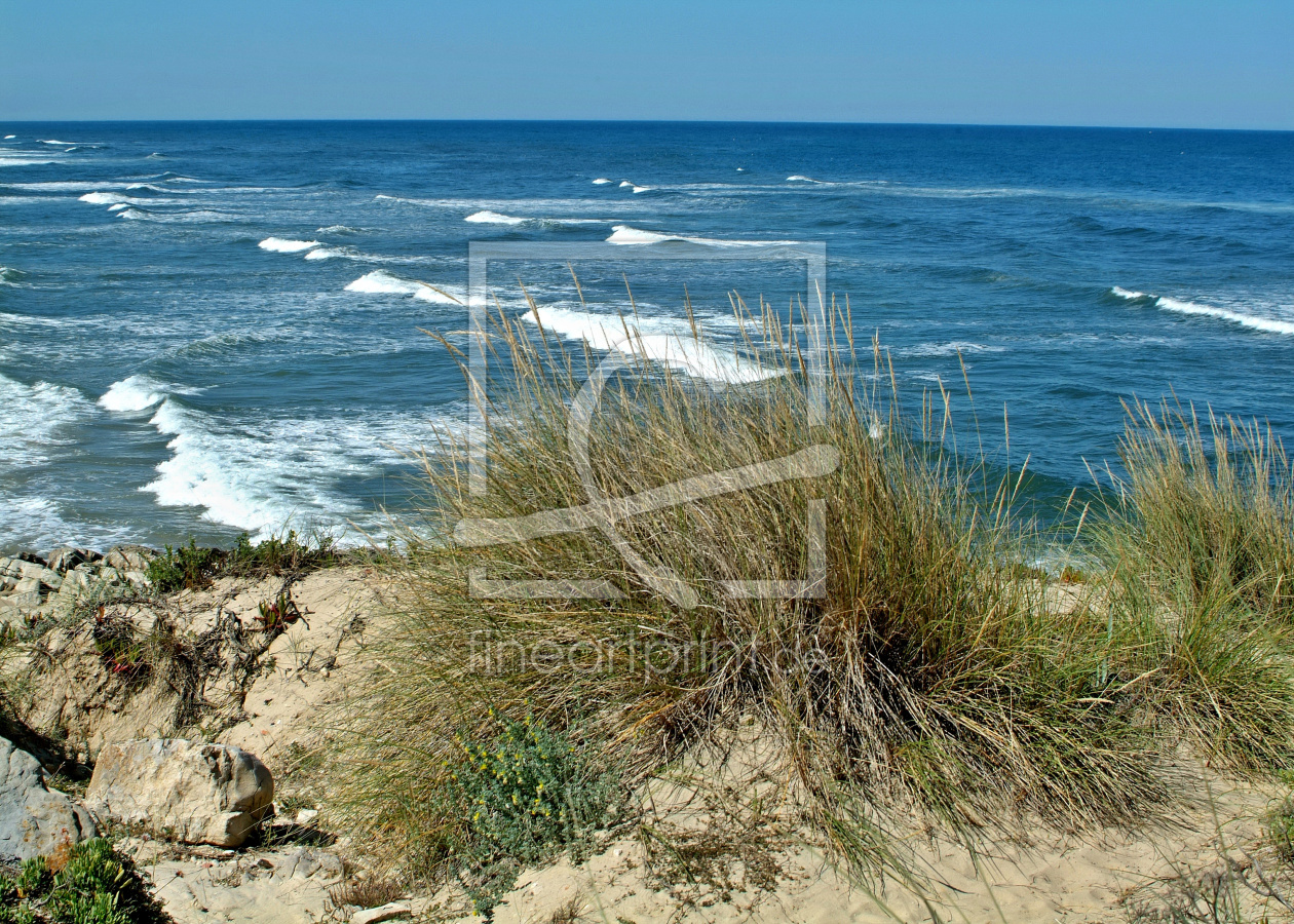 Bild-Nr.: 12752154 Vegetation in den Duenen erstellt von insideportugal