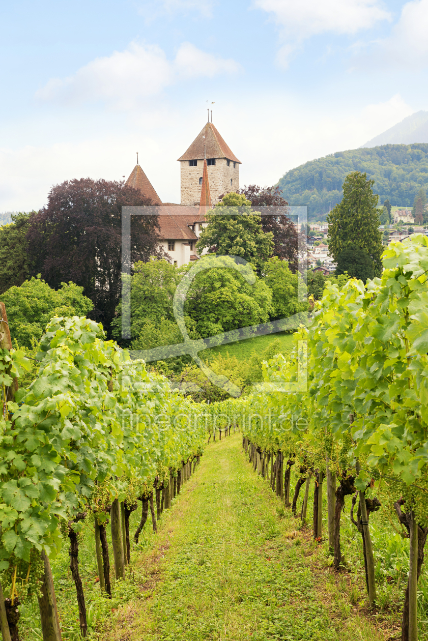 Bild-Nr.: 12752402 Schloss Spiez im Weinberg erstellt von SusaZoom