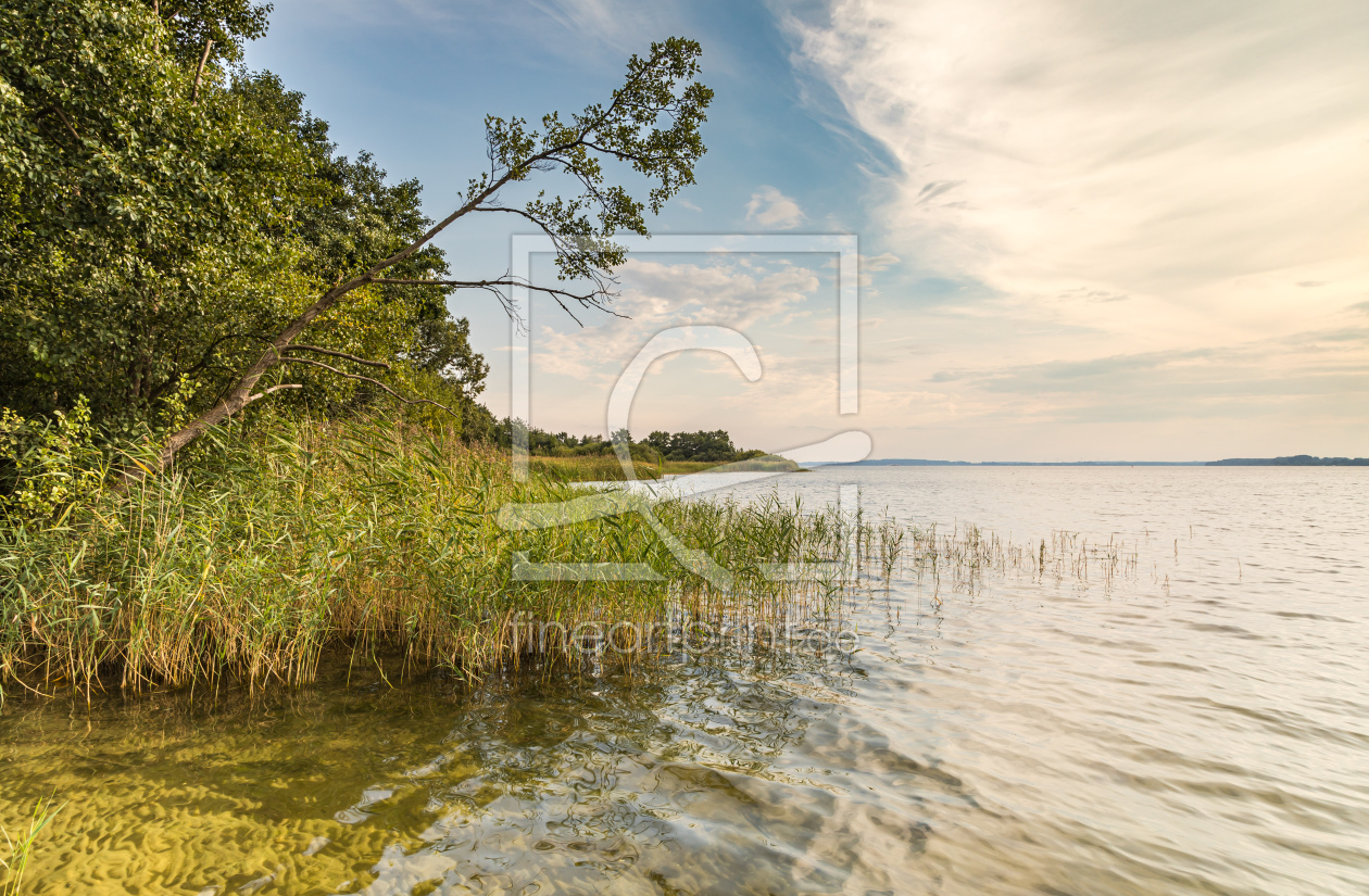 Bild-Nr.: 12752806 Seelandschaft Müritz Nationalpark erstellt von Ursula Reins