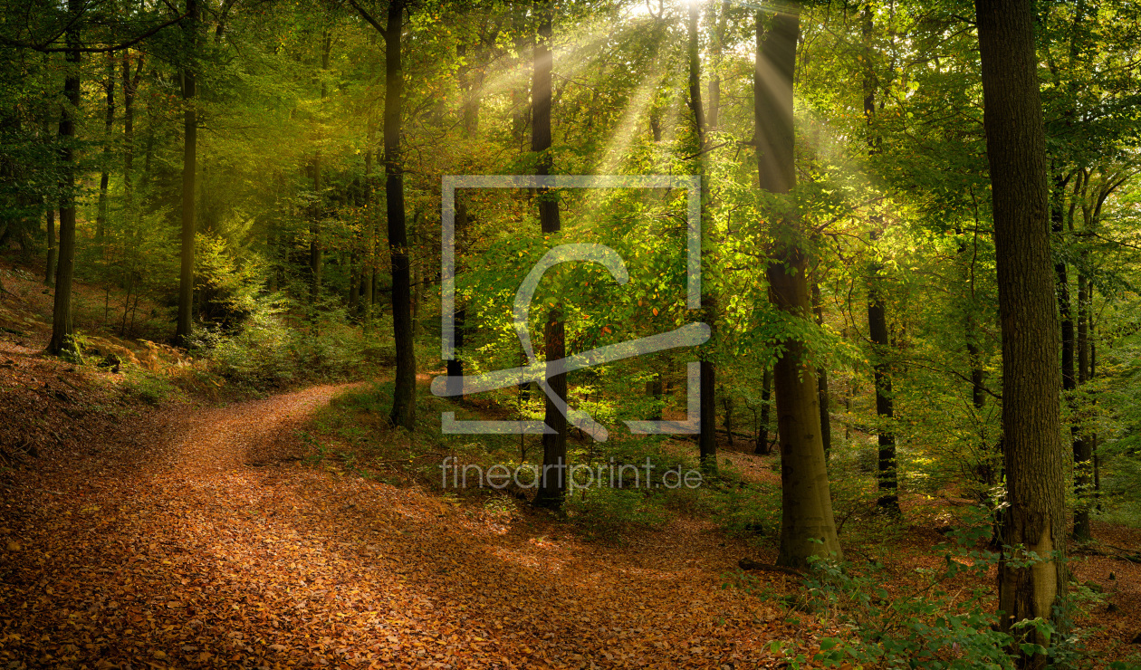 Bild-Nr.: 12752849 Wunderschöne Waldlandschaft mit Sonnenstrahlen erstellt von Smileus