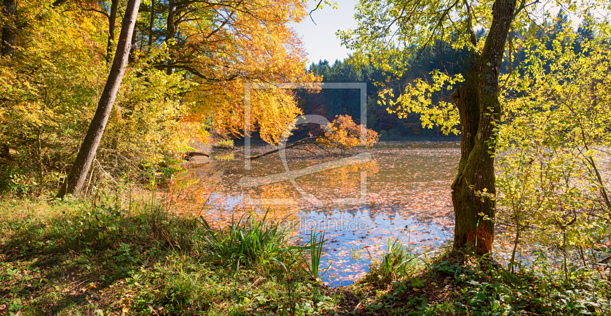 Bild-Nr.: 12753840 Herbst am Thanninger Weiher erstellt von SusaZoom