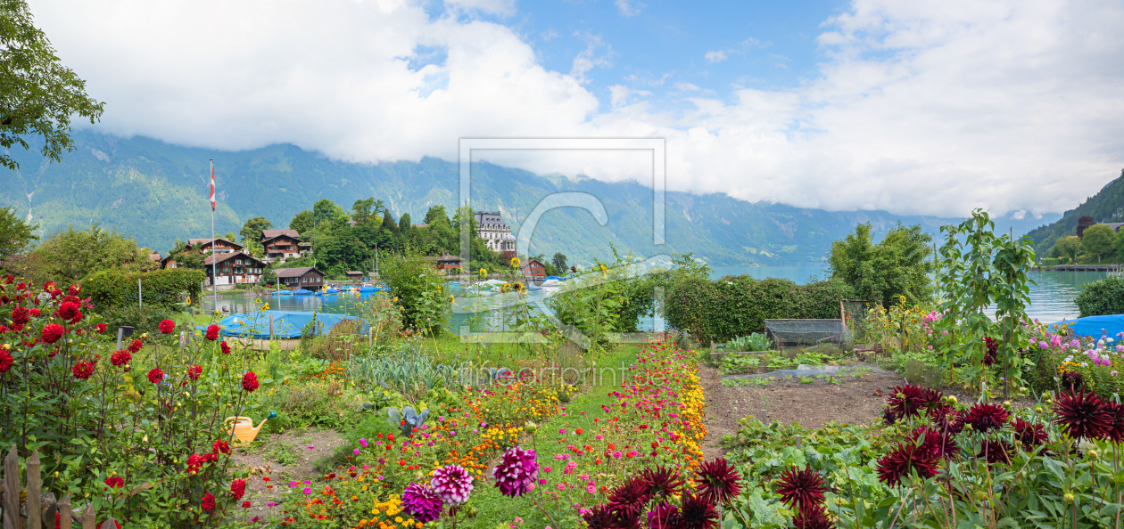 Bild-Nr.: 12754026 Sommer in Iseltwald am Brienzersee erstellt von SusaZoom