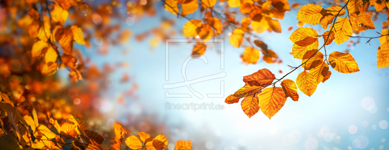 Bild-Nr.: 12756888 Herbstblätter auf blauem Himmel erstellt von Smileus