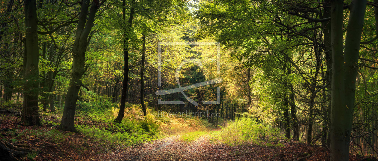 Bild-Nr.: 12757259 Ruhige Naturlandschaft in einem Wald im Frühherbst erstellt von Smileus