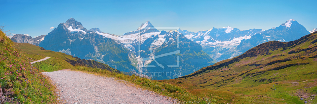 Bild-Nr.: 12758163 Alpenpanorama Grindelwald First Berner Oberland erstellt von SusaZoom