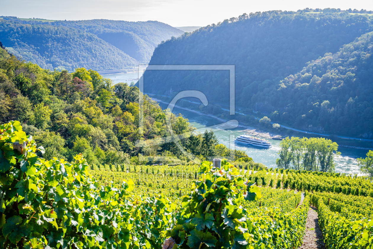 Bild-Nr.: 12758388 Loreley-Spitznack 50 erstellt von Erhard Hess