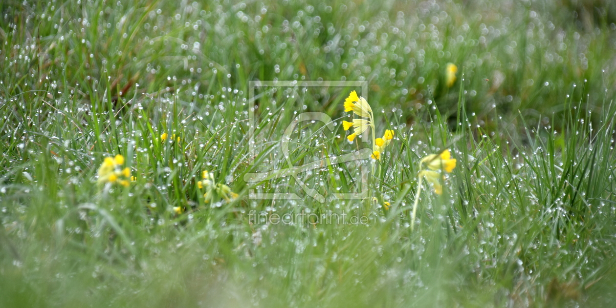 Bild-Nr.: 12759672 Frühling erstellt von GUGIGEI