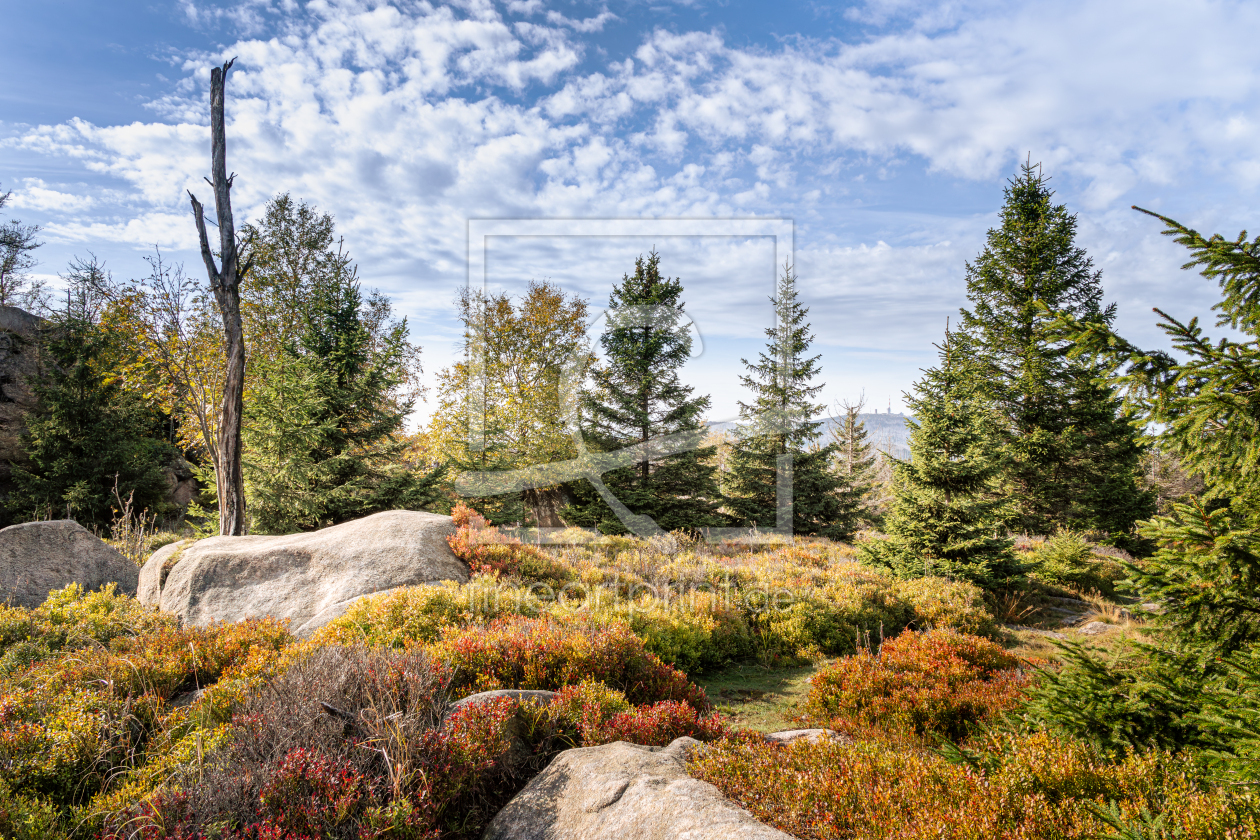 Bild-Nr.: 12759774 Auf dem Hohnekamm im Harz  erstellt von Steffen Henze