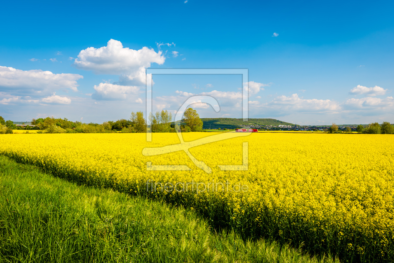 Bild-Nr.: 12759790 Rapsfeld 72 erstellt von Erhard Hess