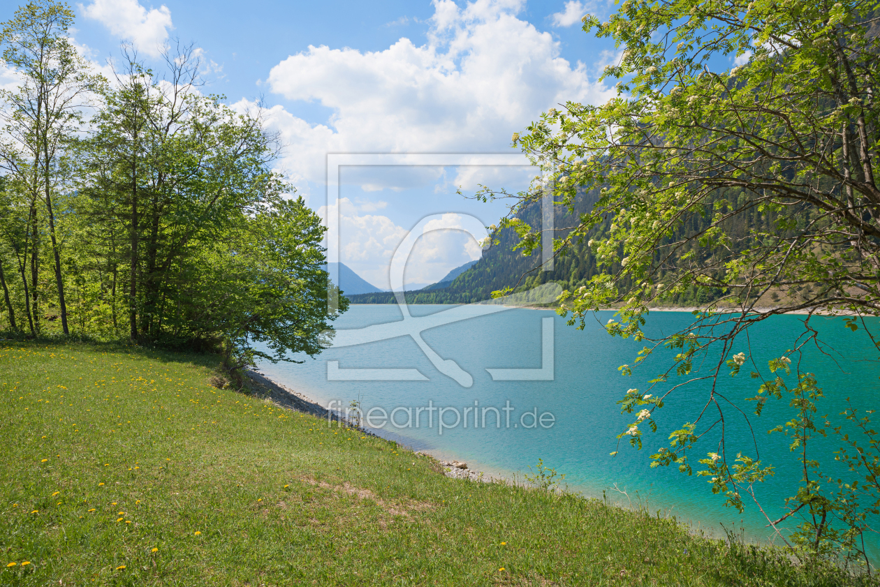 Bild-Nr.: 12759893 Sylvensteinsee erstellt von SusaZoom
