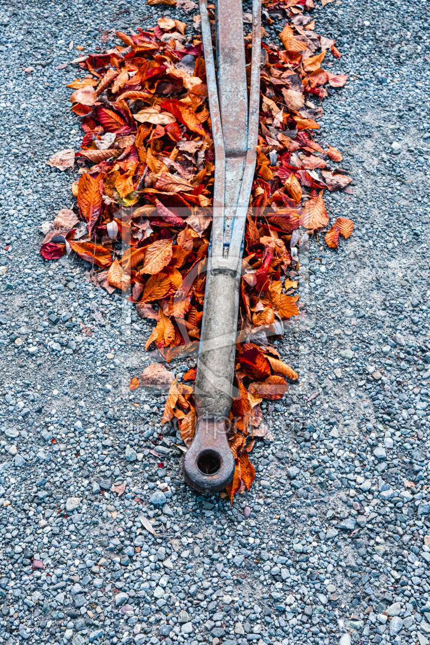 Bild-Nr.: 12761610 Herbstlaub erstellt von DjuraPhotography