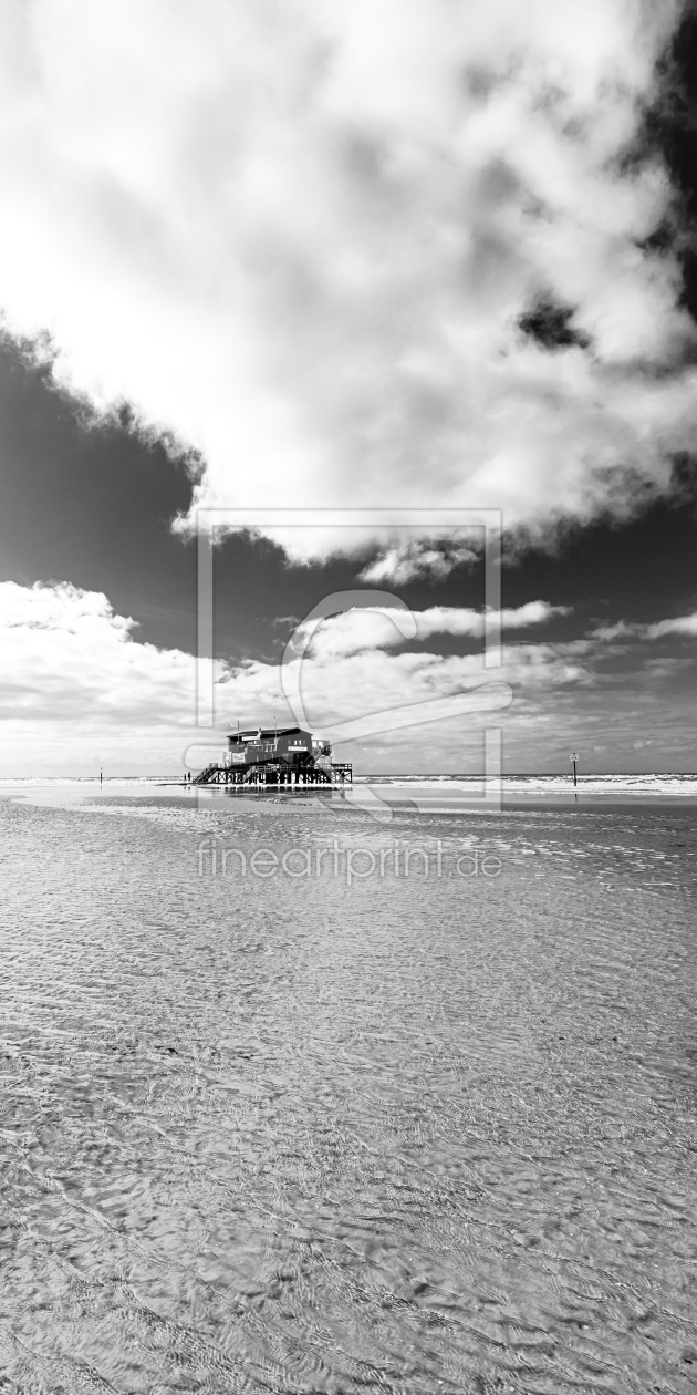 Bild-Nr.: 12761840 Strandbar Silbermöve    S-W erstellt von Ursula Reins