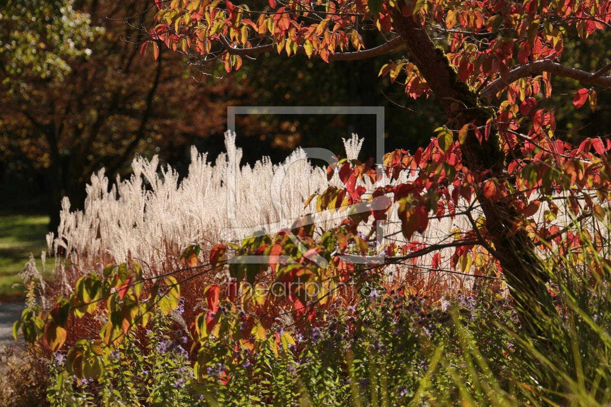 Bild-Nr.: 12762741 HERBST erstellt von kadorka