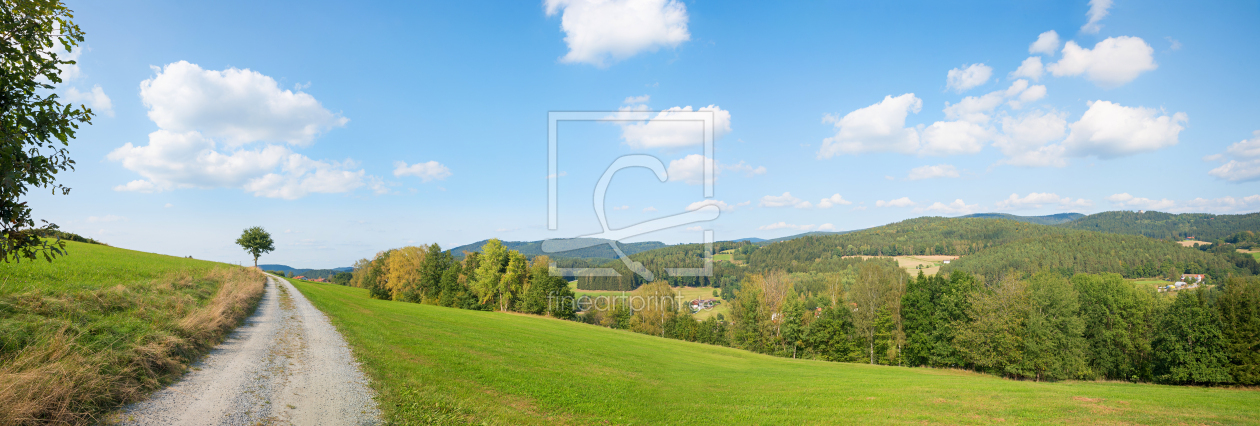 Bild-Nr.: 12764201 Spazierweg im Bayerischen Wald erstellt von SusaZoom