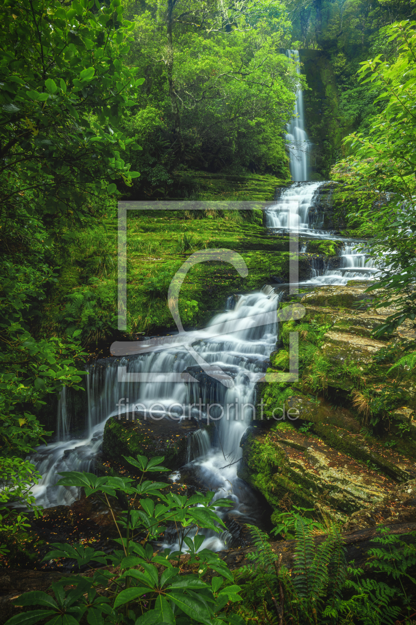 Bild-Nr.: 12764373 Neuseeland McLean Wasserfall in den Catlins erstellt von Jean Claude Castor