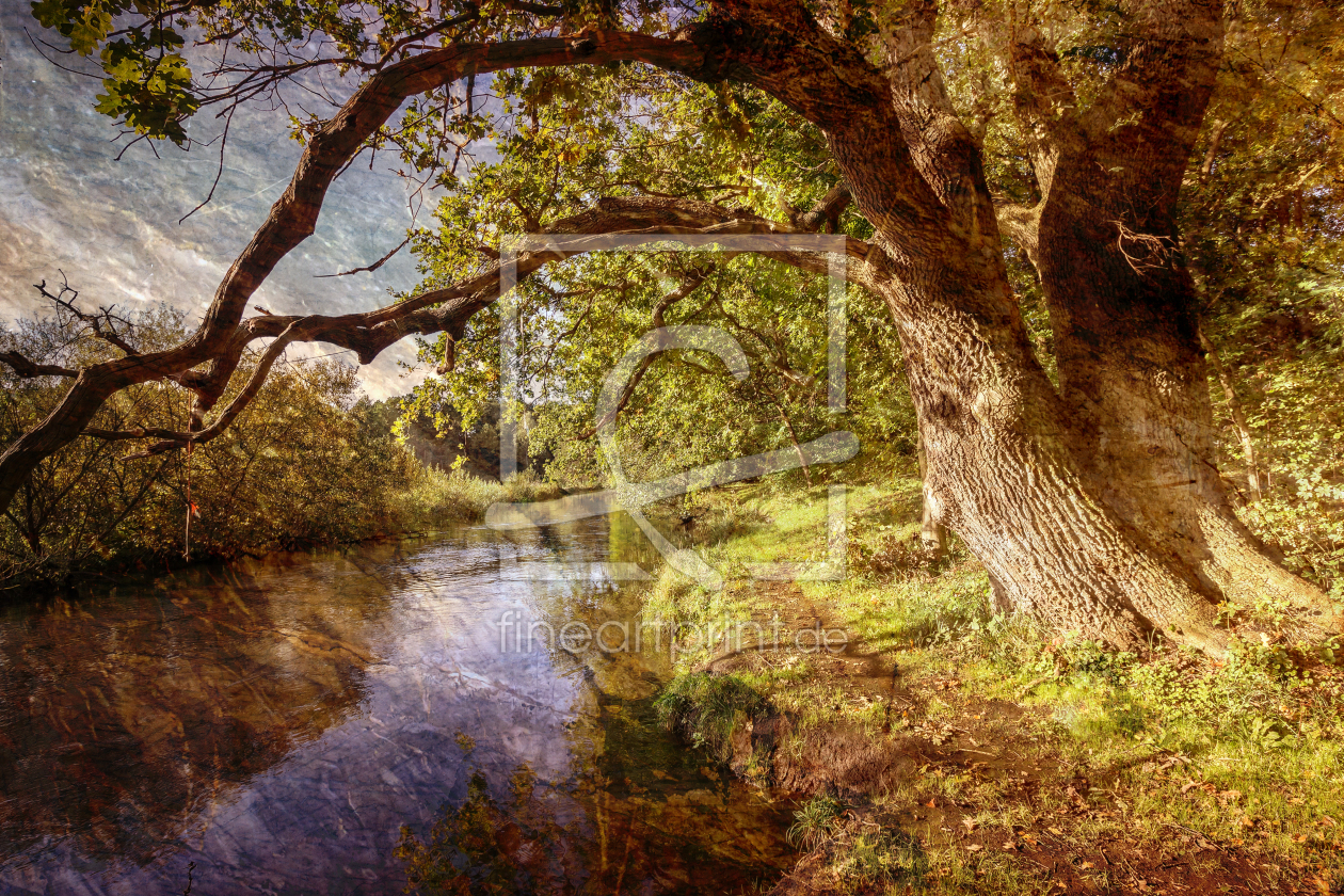 Bild-Nr.: 12764494 An der Ilmenau erstellt von yammay