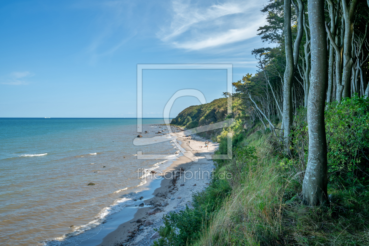 Bild-Nr.: 12765174 Zauberwald auf der Insel Rügen erstellt von volker heide