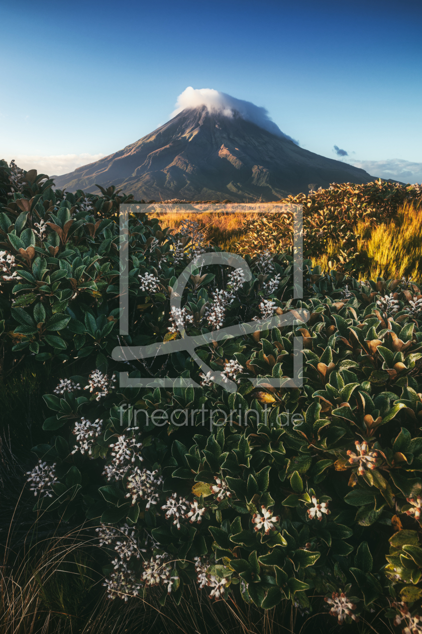 Bild-Nr.: 12765177 Neuseeland Mount Taranaki Mangorei Track erstellt von Jean Claude Castor