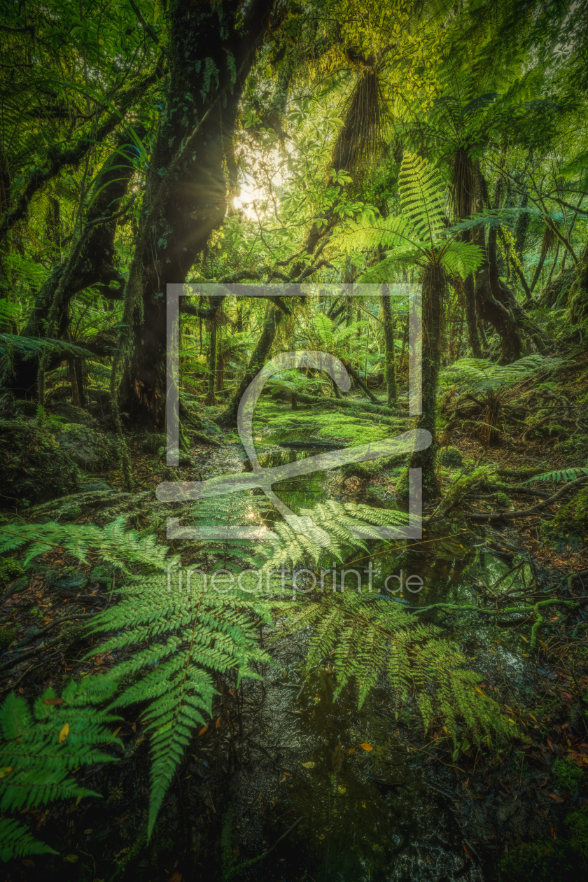 Bild-Nr.: 12765179 Neuseeland Dschungel am Fox Glacier erstellt von Jean Claude Castor