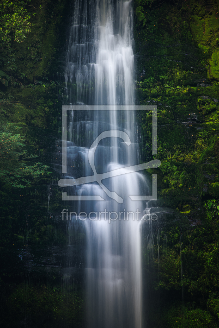 Bild-Nr.: 12765181 Neuseeland McLean Wasserfall in den Catlins erstellt von Jean Claude Castor