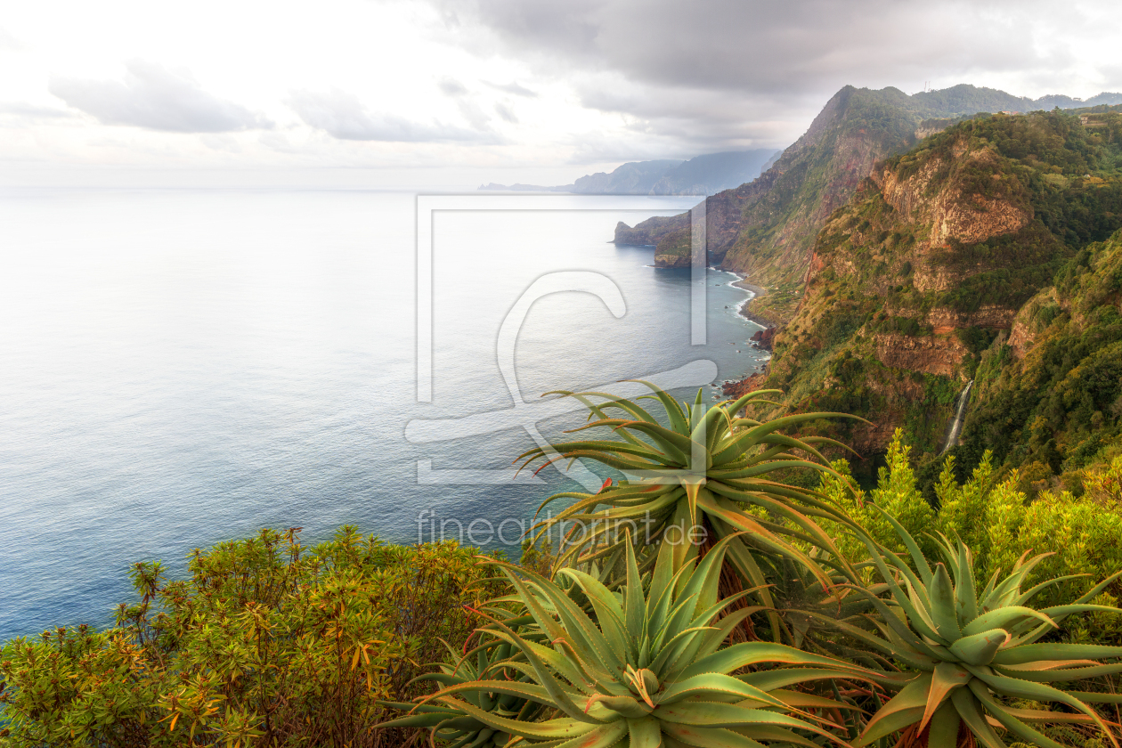Bild-Nr.: 12765200 Madeiras wilder Norden erstellt von Thomas Herzog