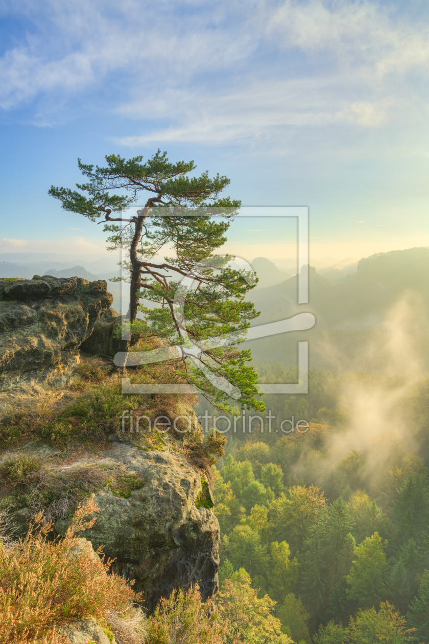 Bild-Nr.: 12765205 Herbstmorgen in der Sächsischen Schweiz erstellt von Michael Valjak