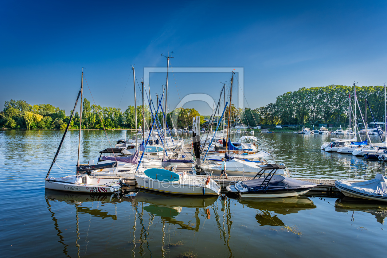 Bild-Nr.: 12768396 Schiersteiner Hafen 25 erstellt von Erhard Hess
