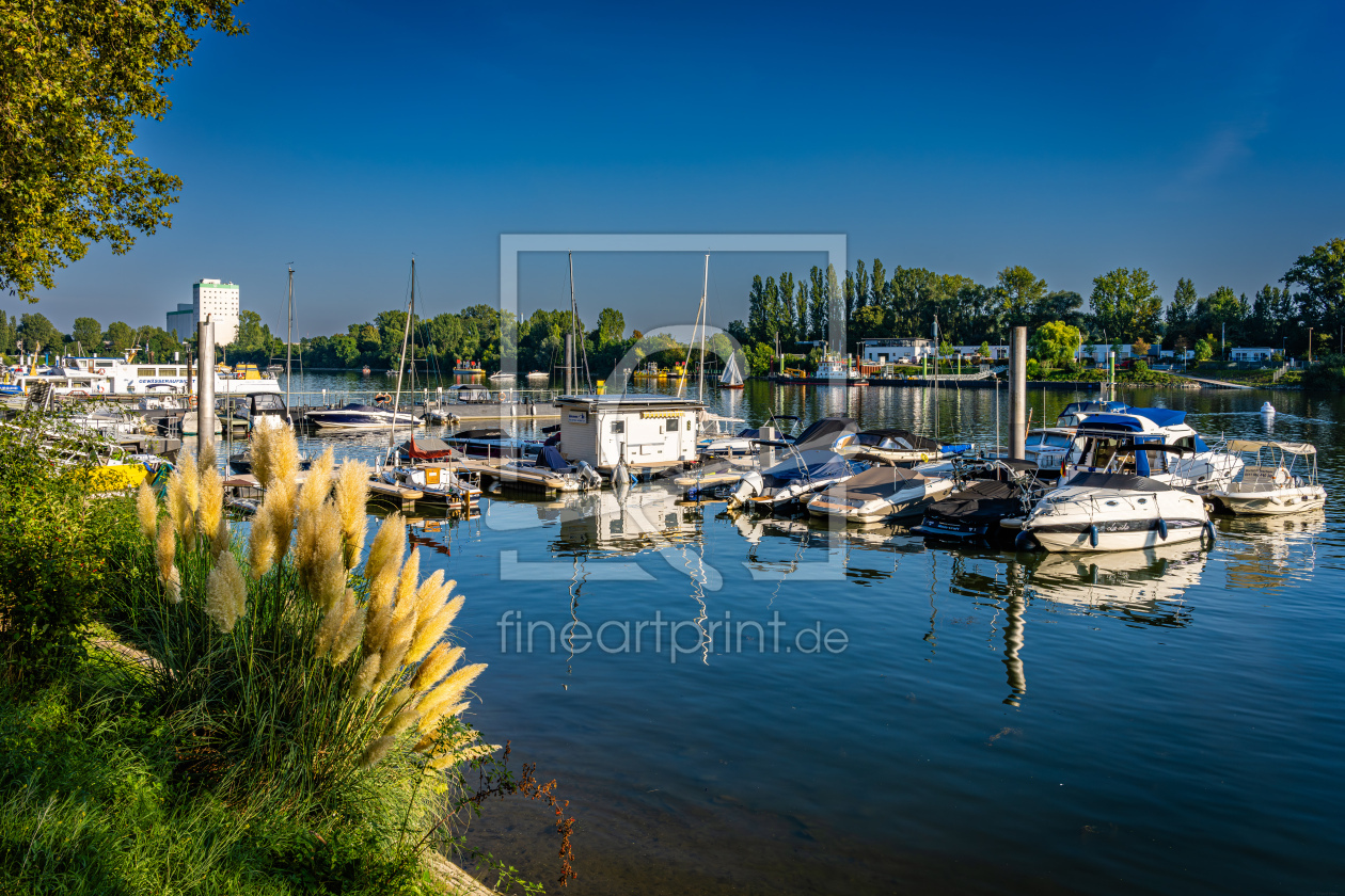 Bild-Nr.: 12768397 Schiersteiner Hafen 30 erstellt von Erhard Hess