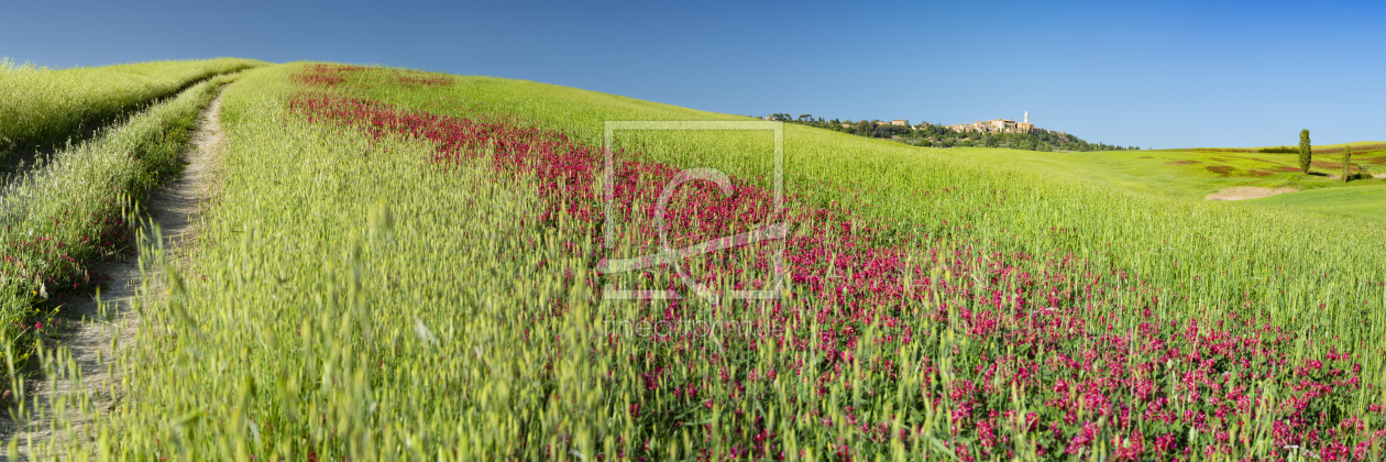 Bild-Nr.: 12768607 Pienza erstellt von Walter G. Allgöwer