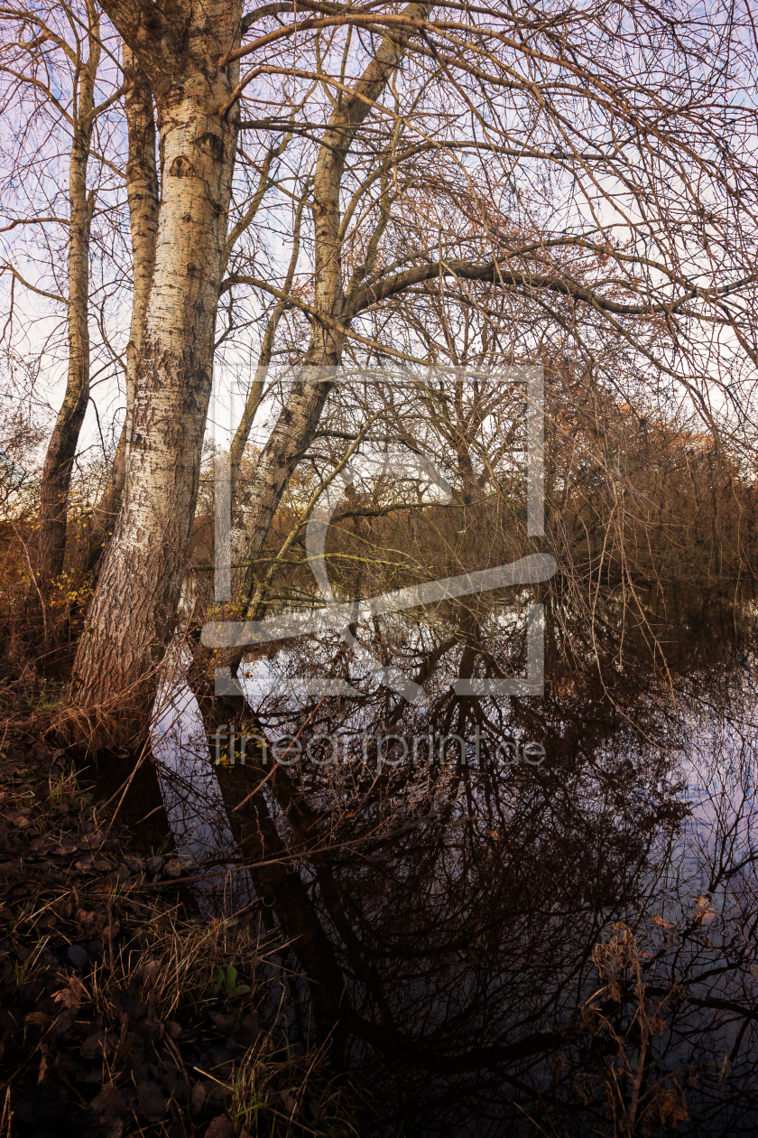 Bild-Nr.: 12777146 Am Fluß erstellt von yammay